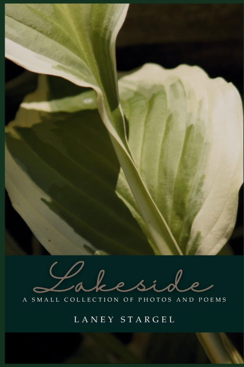 Kniha Lakeside Laney Stargel