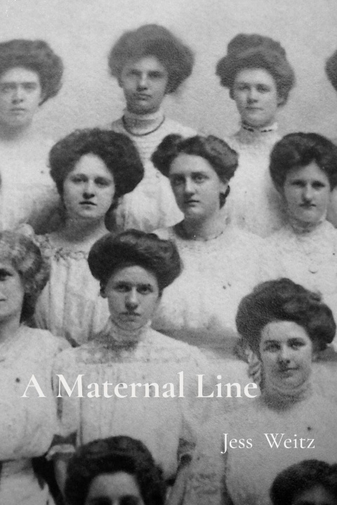 Kniha A Maternal Line Jess Weitz