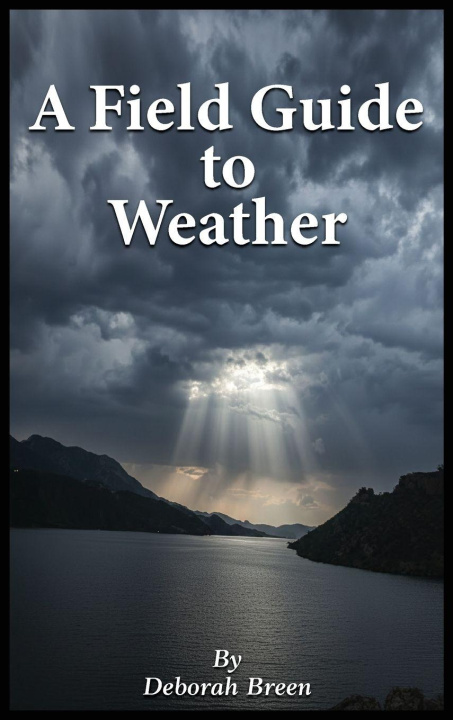 Книга A Field Guide To Weather Deborah Breen