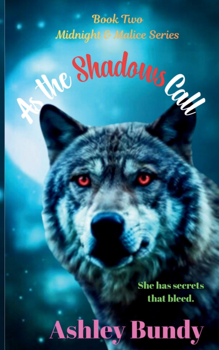 Kniha As the Shadows Call Ashley Bundy