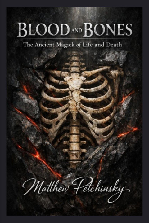 Kniha Blood and Bones Matthew Petchinsky