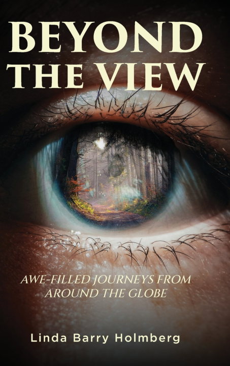 Книга Beyond the View Linda Barry Holmberg