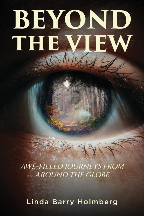Kniha Beyond the View Linda Barry Holmberg