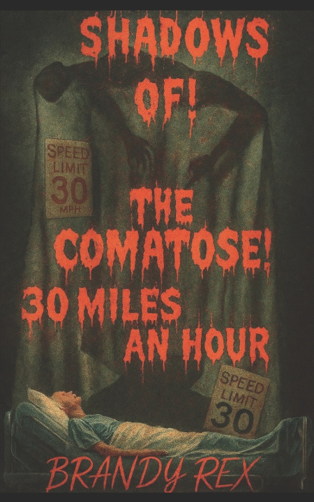 Kniha Shadows of the comatose Brandy J Rex