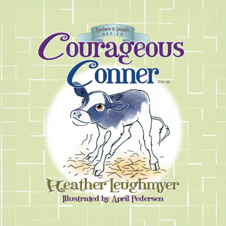 Книга Courageous Conner Heather Leughmyer