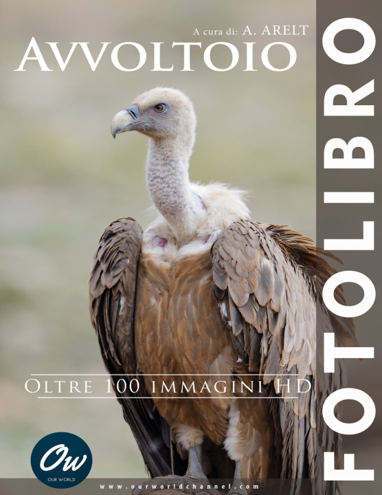 Kniha Avvoltoio A Arelt