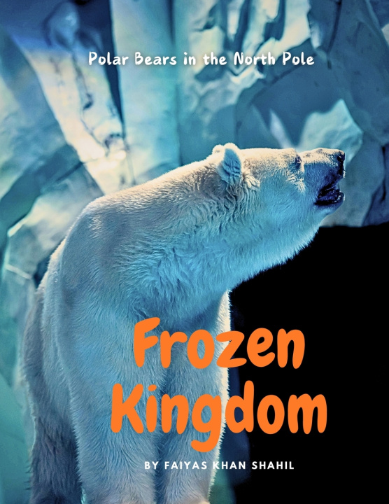 Kniha Frozen Kingdom Faiyas Khan Shahil