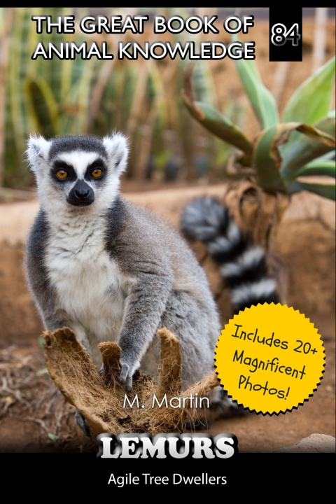 Kniha Lemurs M Martin