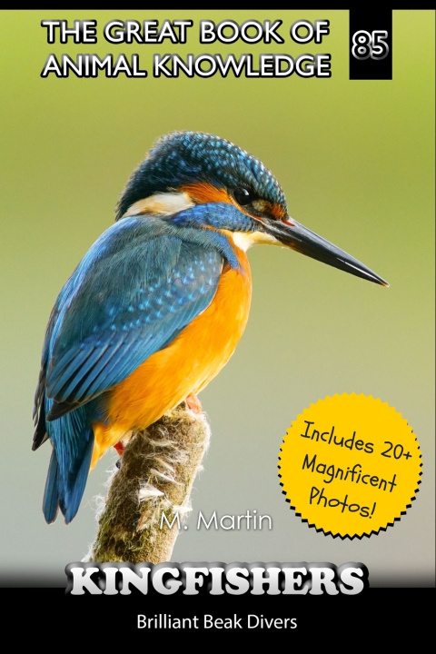Könyv Kingfishers M Martin