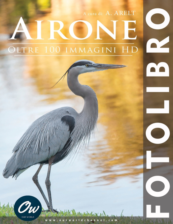 Kniha Airone A Arelt