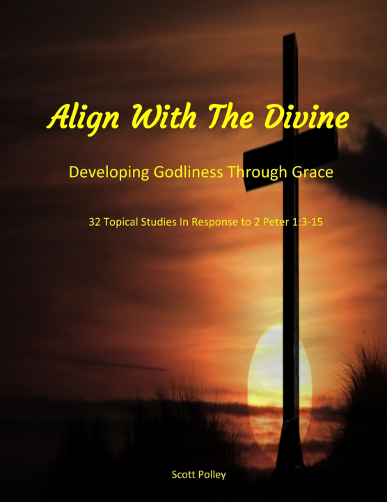 Knjiga Align With The Divine Scott Polley