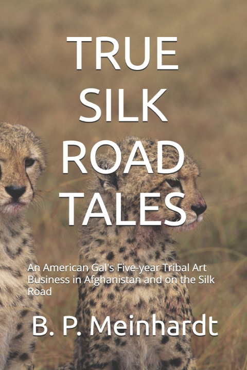 Книга TRUE SILK ROAD TALES B. P. Meinhardt