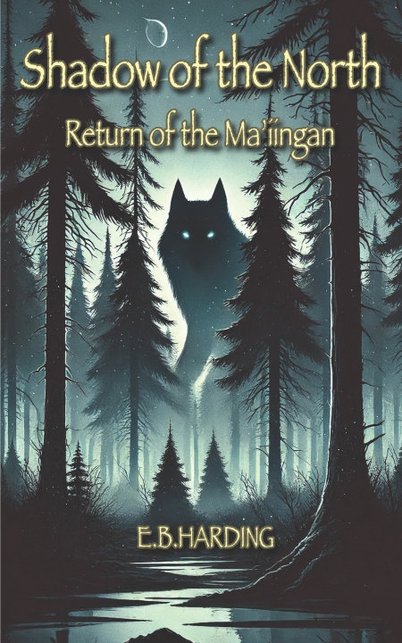 Knjiga Shadow of the North E.B. Harding