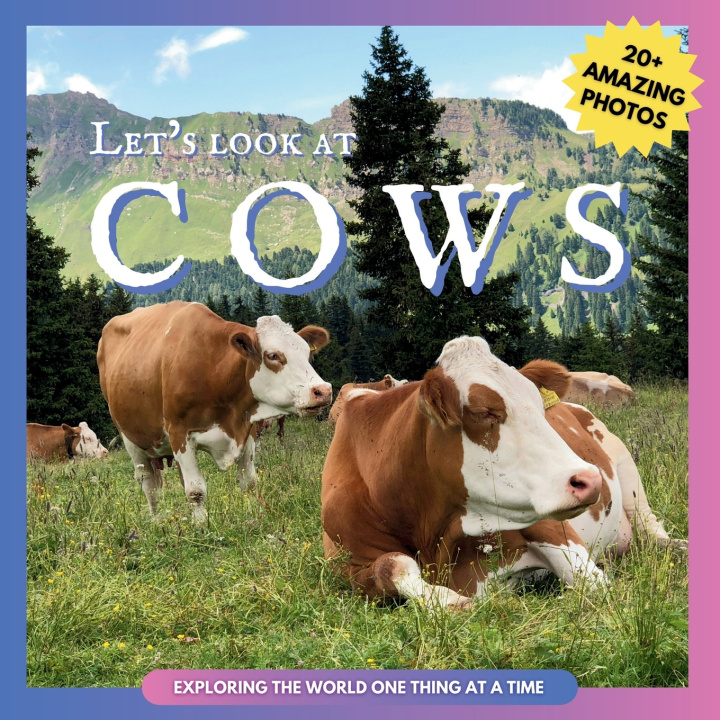 Könyv Let's Look At Let's Look At