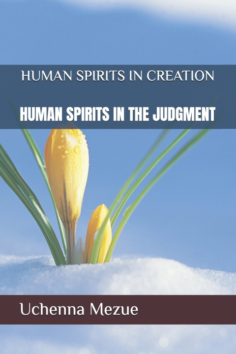 Kniha HUMAN SPIRITS IN CREATION Uchenna Mezue