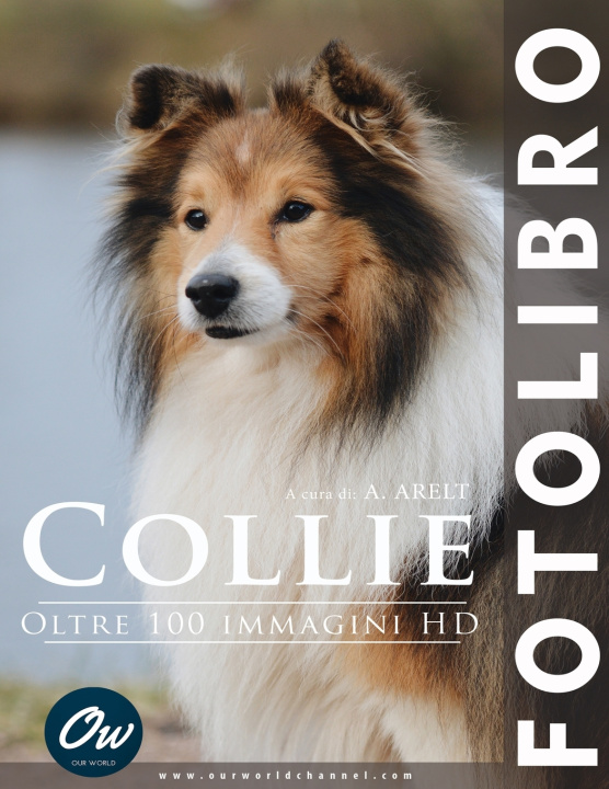 Kniha Collie A Arelt