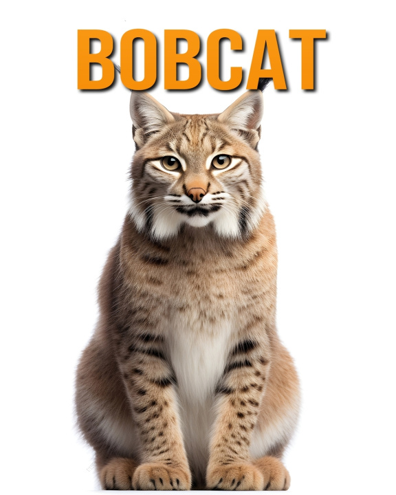 Könyv Bobcat Isla Vane