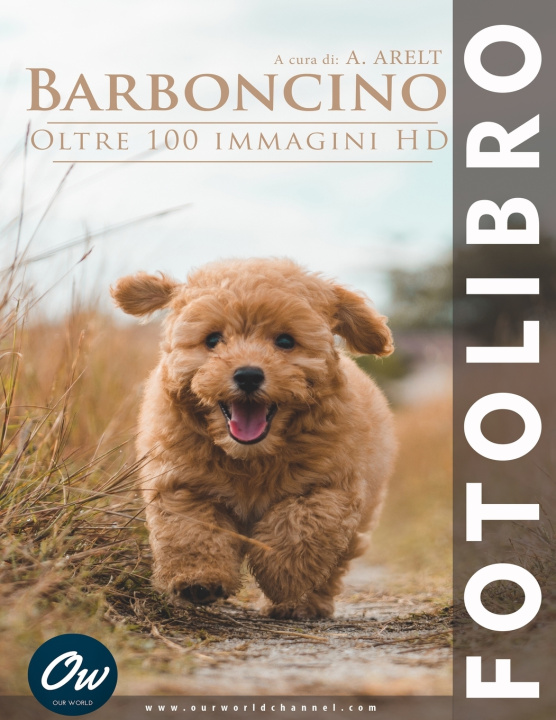 Kniha Barboncino A Arelt