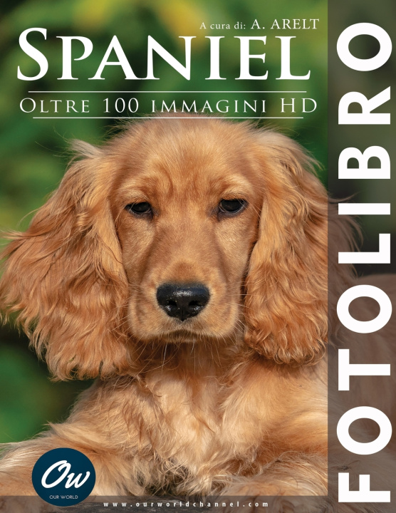 Könyv Spaniel A Arelt