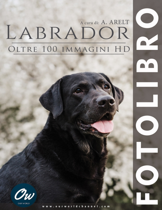 Kniha Labrador A Arelt