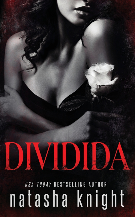 Kniha Dividida Natasha Knight