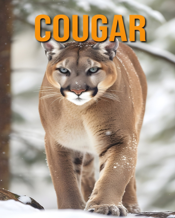 Könyv Cougar Isla Vane