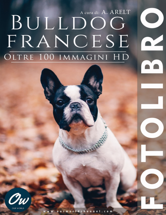 Kniha Bulldog francese A Arelt