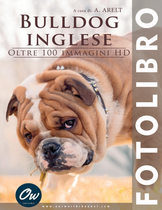 Knjiga Bulldog inglese A Arelt