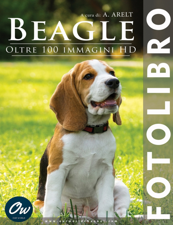 Kniha Beagle A Arelt