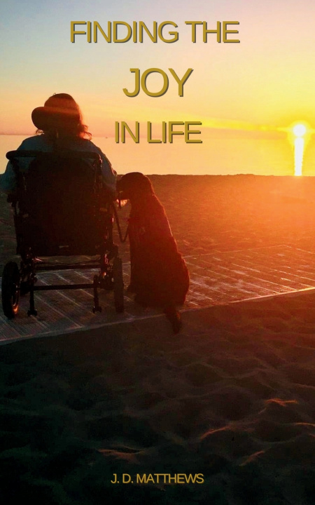Книга Finding The Joy In Life J D Matthews