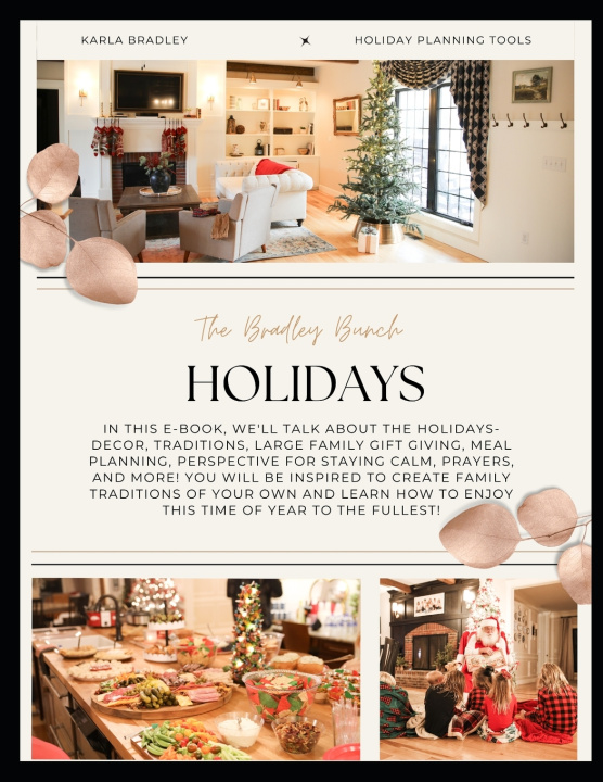 Книга The Bradley Bunch Holidays Karla Bradley