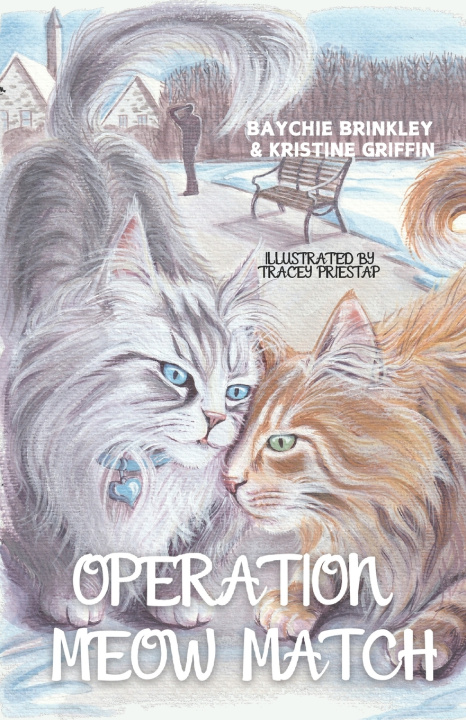 Kniha Operation Meow Match Kristine Griffin