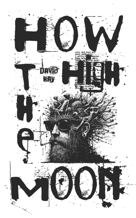Knjiga How High The Moon David Hay