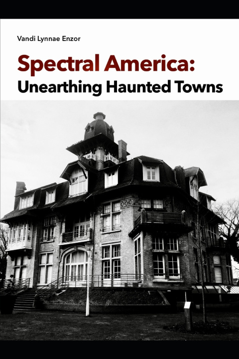 Книга Spectral America Vandi Lynnae Enzor