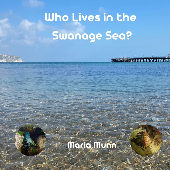 Boek Who Lives in the Swanage Sea Maria Munn