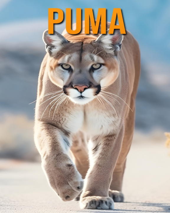 Könyv Puma Isla Vane