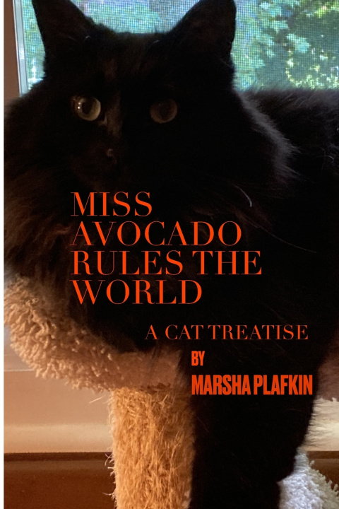 Книга Miss Avocado Rules The World Marsha Plafkin