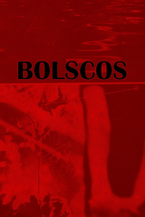 Kniha BOLSCOS Matthew Hayos