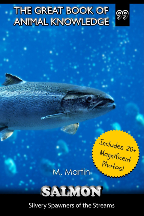 Kniha Salmon M Martin