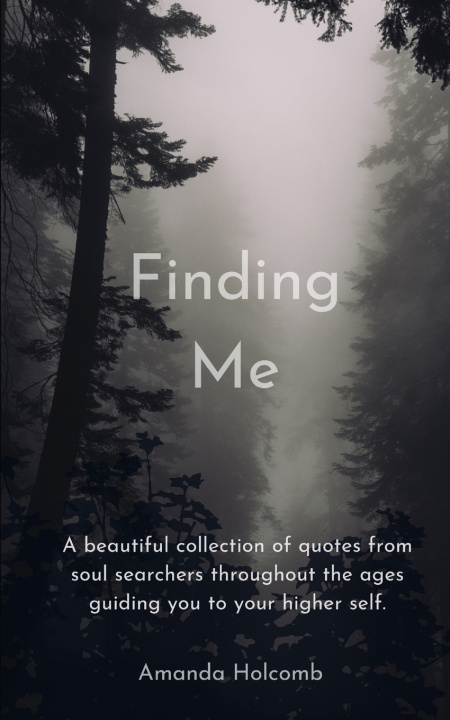 Kniha Finding Me Amanda Holcomb