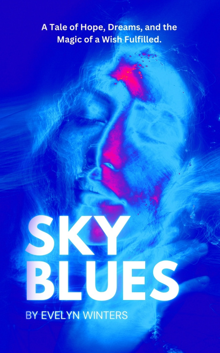 Buch Sky Blues Evelyn Winters