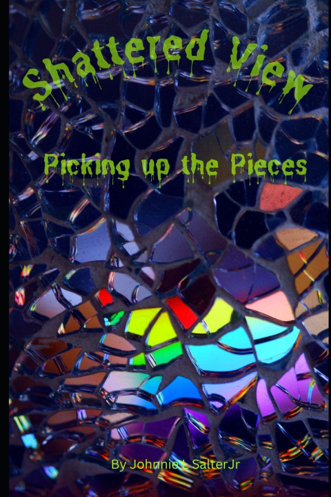 Kniha Shattered Views Johnnie Salter Jr