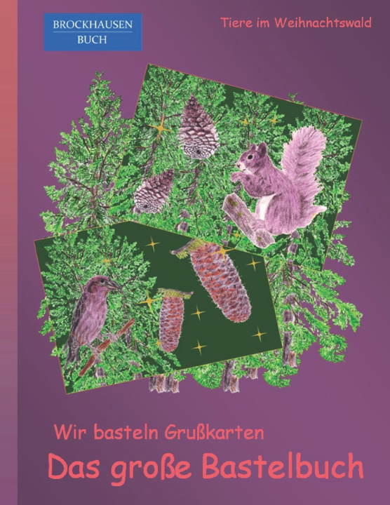 Kniha Wir basteln Grusskarten - Das grosse Bastelbuch Dortje Golldack