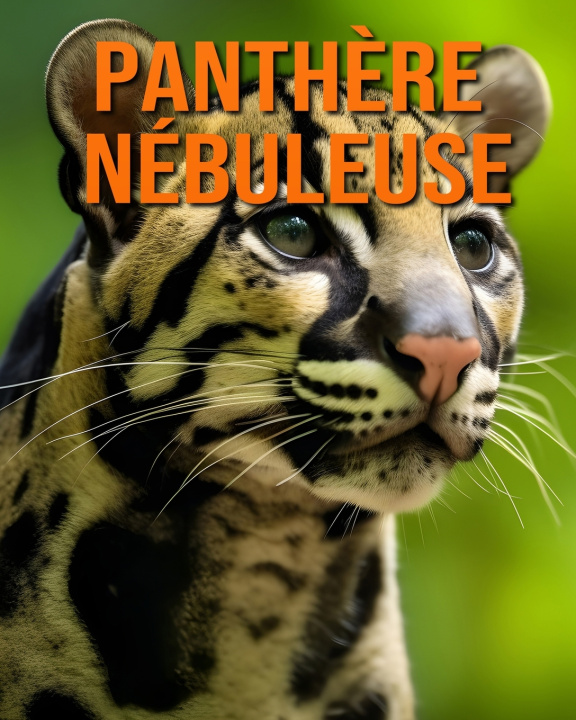 Kniha Panthère Nébuleuse Raine Hawthorn
