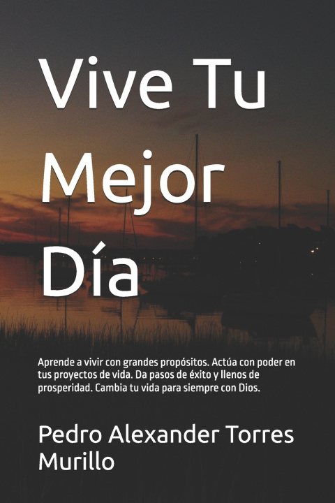 Libro Vive Tu Mejor Día Pedro Alexander Torres Murillo