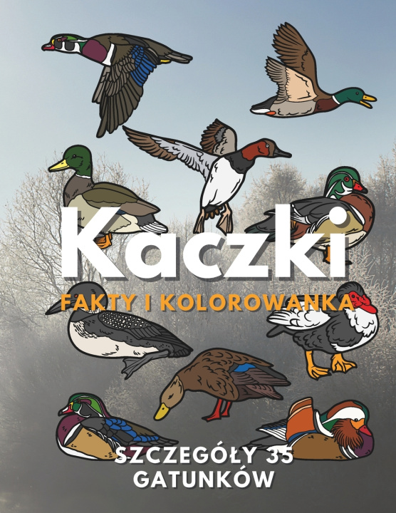Book Kaczki Steven Book