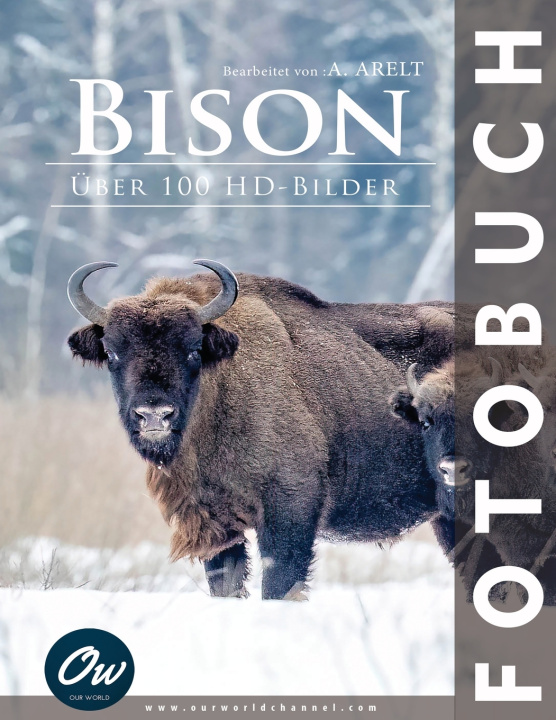 Kniha Bison A Arelt