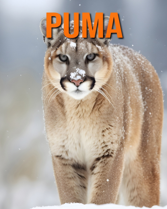 Kniha Puma Raine Hawthorn