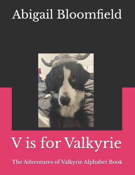 Kniha V is for Valkyrie Abigail Bloomfield