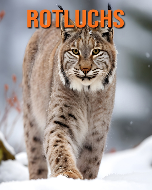 Kniha Rotluchs Raine Hawthorn